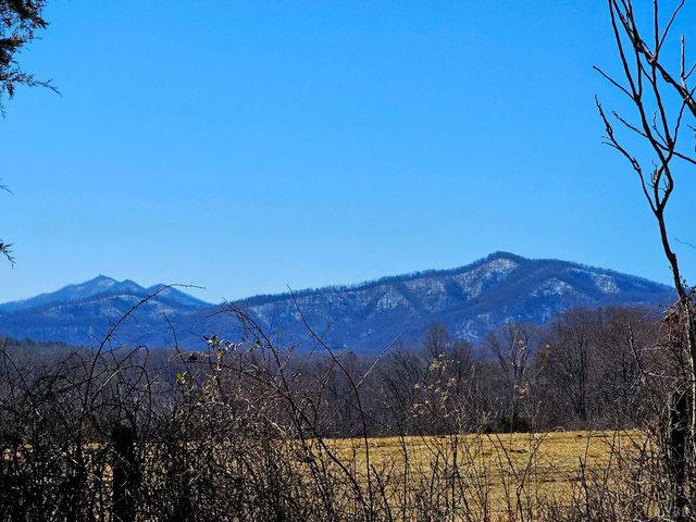 2066 Turkey Mountain Rd, Amherst, VA 24521