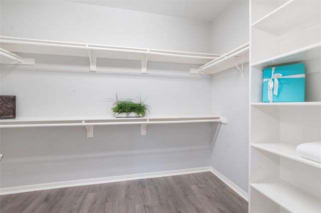 25818 Overlake Drive, Spring, TX 77380