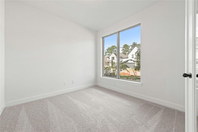 223 Butterfly Orchid Court, Willis, TX 77318