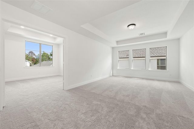 223 Butterfly Orchid Court, Willis, TX 77318