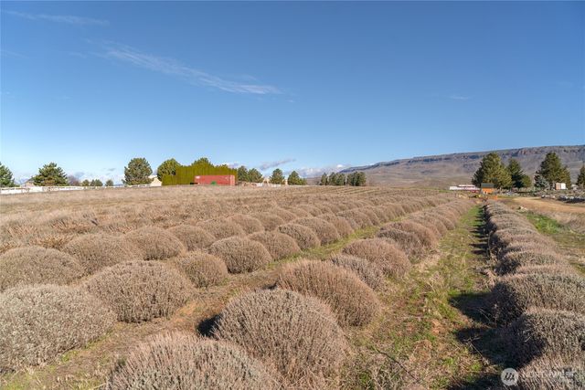 980 S Webb Place, East Wenatchee, WA 98802