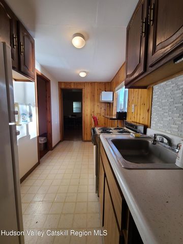 106 Park Drive, Parksville, NY 12768