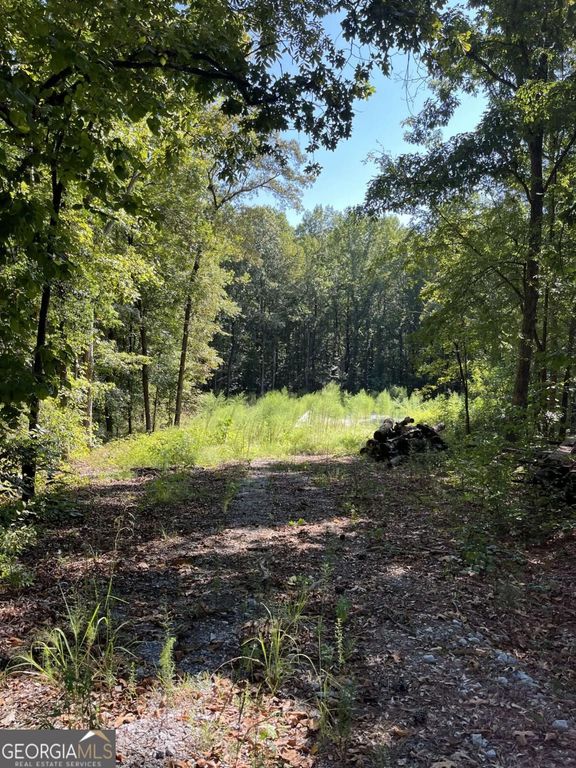 46 Creek Ridge, Winterville, GA 30683 — photo 2