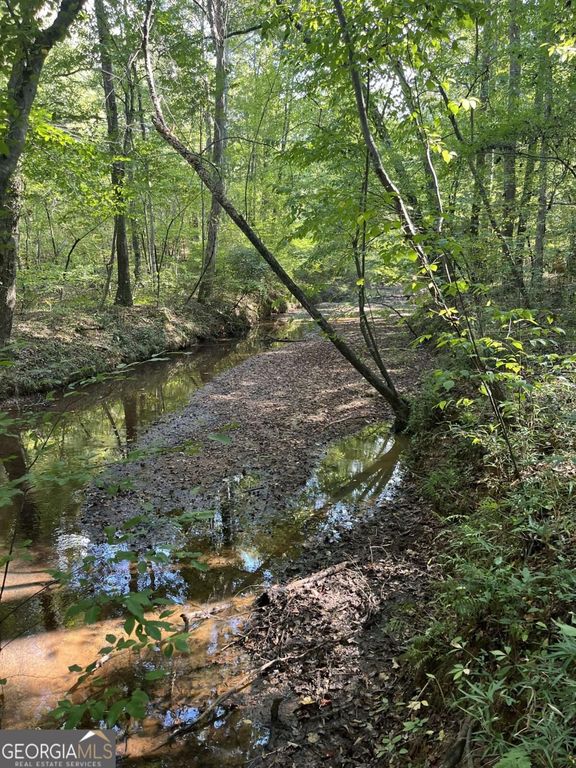 46 Creek Ridge, Winterville, GA 30683 — photo 4