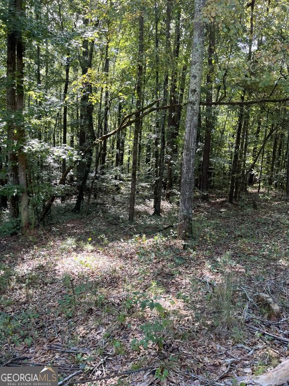 46 Creek Ridge, Winterville, GA 30683 — photo 5