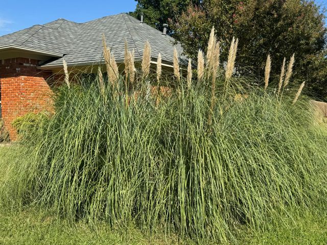 3217 Redbud Trail, Sherman, TX 75092