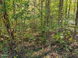 0000 Cave Springs Road, Rogersville, TN 37857