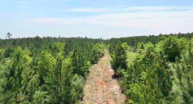 0004 Sh 249, Navasota, TX 77868