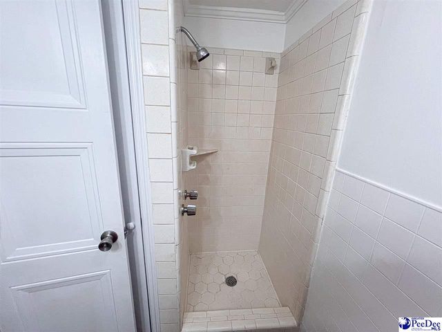 3809 E Effingham HWY, Effingham, SC 29541
