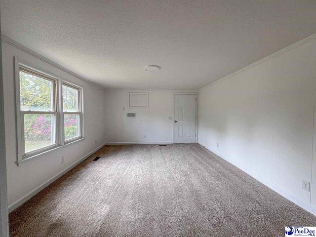 3809 E Effingham HWY, Effingham, SC 29541