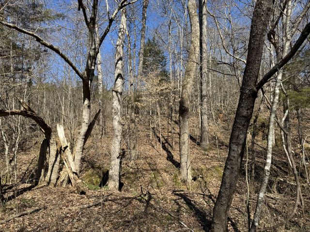 0 Corlew Road, Charlotte, TN 37036