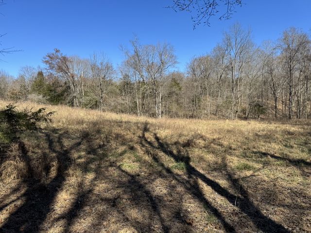 0 Corlew Road, Charlotte, TN 37036