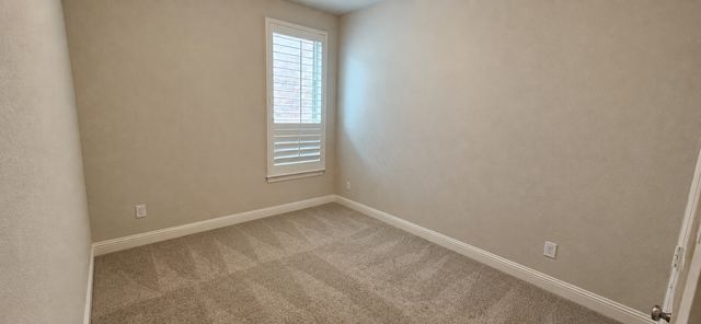13874 Colin Street, Frisco, TX 75035