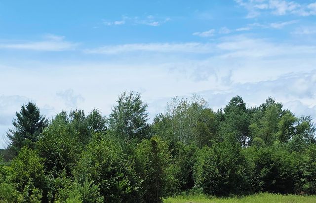 00 Barn Court, Gladwin, MI 48624