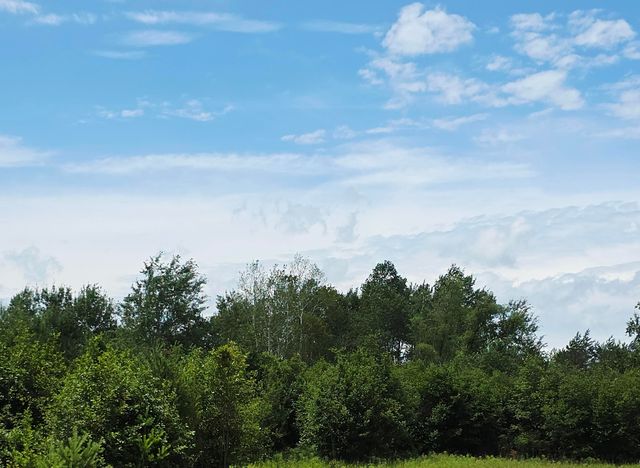 00 Barn Court, Gladwin, MI 48624