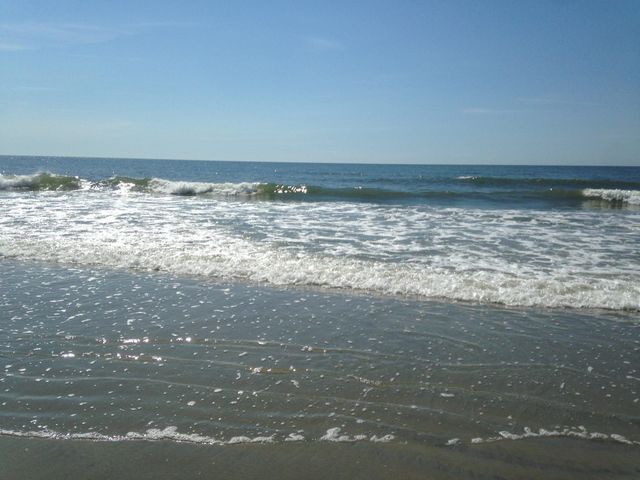 134 Scotch Broom Dr. k203, Little River, SC 29566