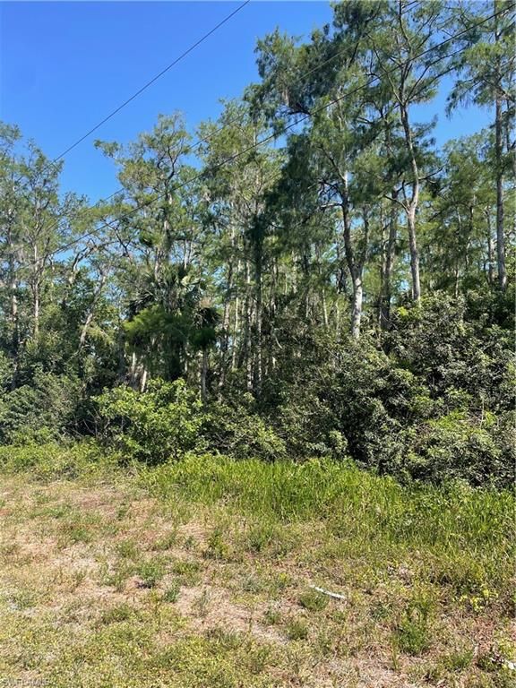 666 Knapp ST, LEHIGH ACRES, FL 33974 — photo 2