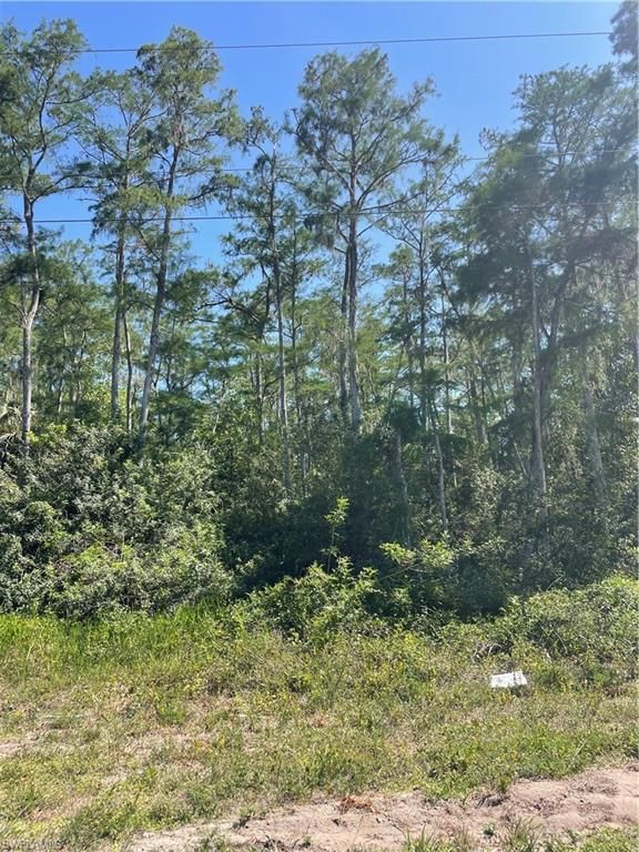666 Knapp ST, LEHIGH ACRES, FL 33974 — photo 3