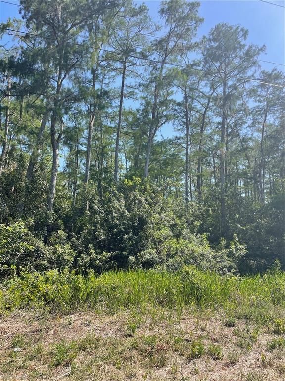 666 Knapp ST, LEHIGH ACRES, FL 33974 — photo 4
