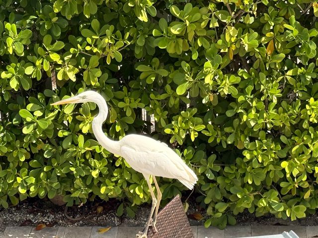 28 Center Lane, Key Largo, FL 33037