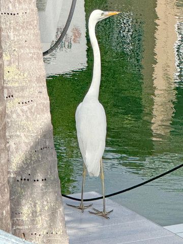 28 Center Lane, Key Largo, FL 33037