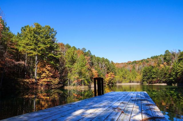 0 Yaki Point, Guild, TN 37340