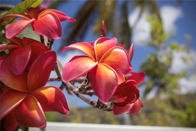 6977 Niumalu Loop, Honolulu, HI 96825