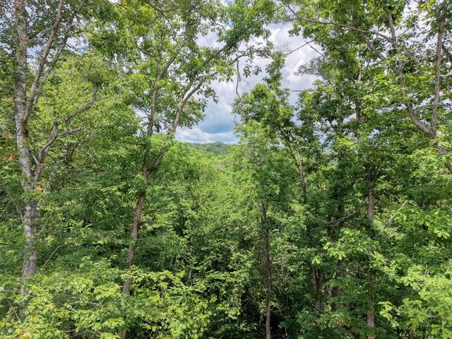 460 River Mountain Road, Murphy, NC 28906
