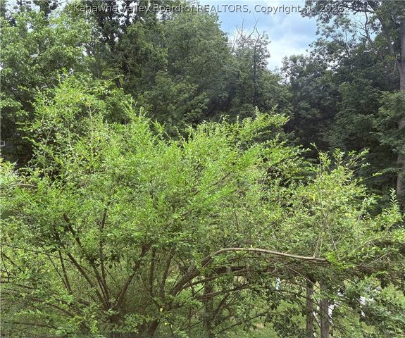 654 Gordon Drive, Charleston, WV 25314