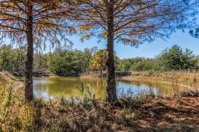 1745 Schoenberg Road, Carmine, TX 78932