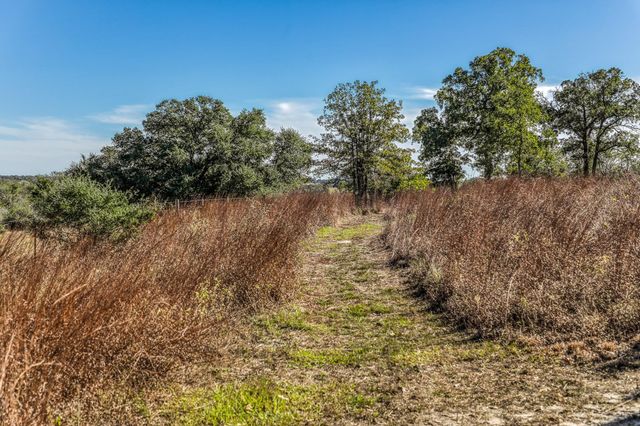 1745 Schoenberg Road, Carmine, TX 78932