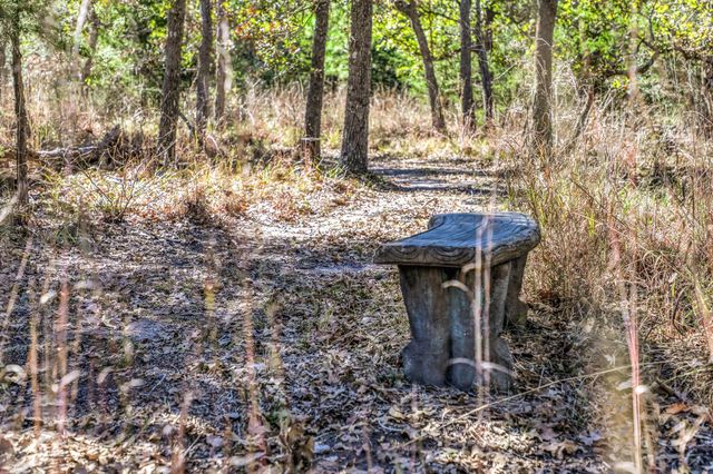 1745 Schoenberg Road, Carmine, TX 78932