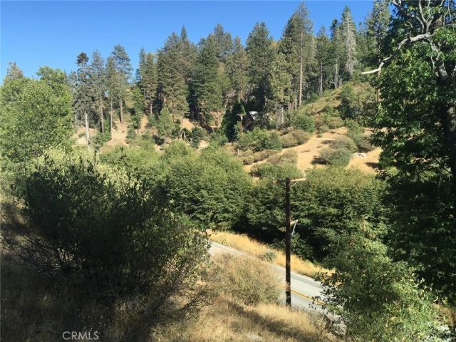 29776 Hook Creek, Cedar Glen, CA 92321