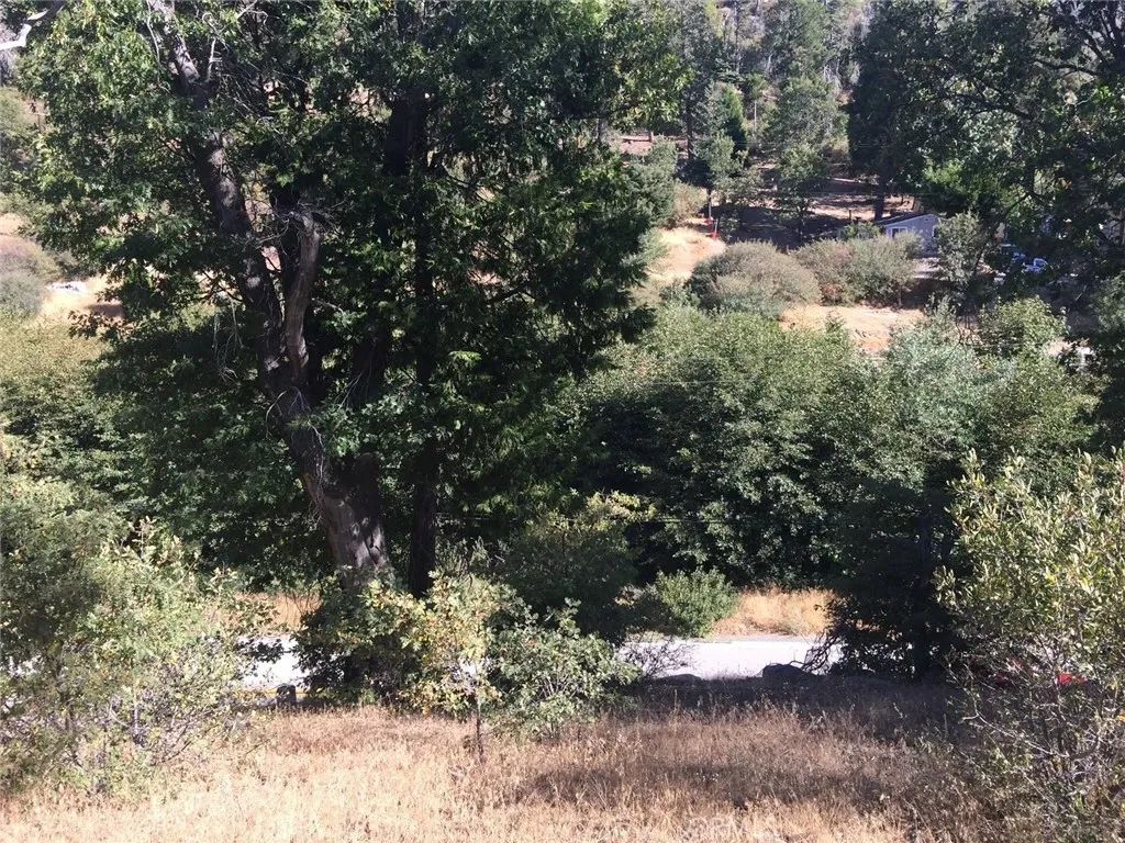 29776 Hook Creek, Cedar Glen, CA 92321
