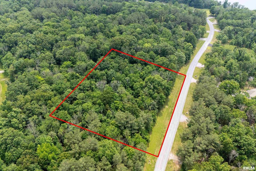 lot 411-412 Parrish Ridge Road, Goreville, IL 62939