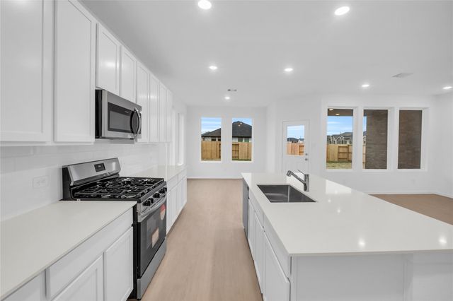 22011 Maddaloni View Drive, Hockley, TX 77447