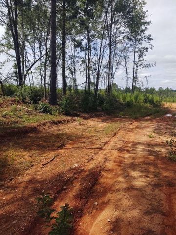 00 MAXIM Road, Lincolnton, GA 30817