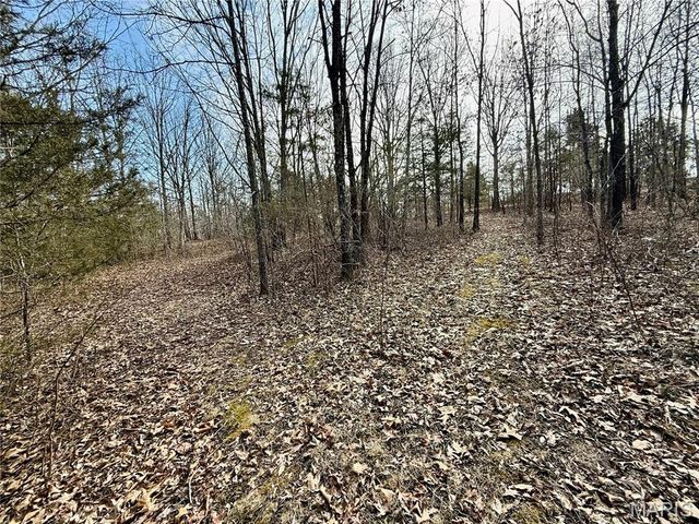 6731 Highway Au, Houston, MO 65483