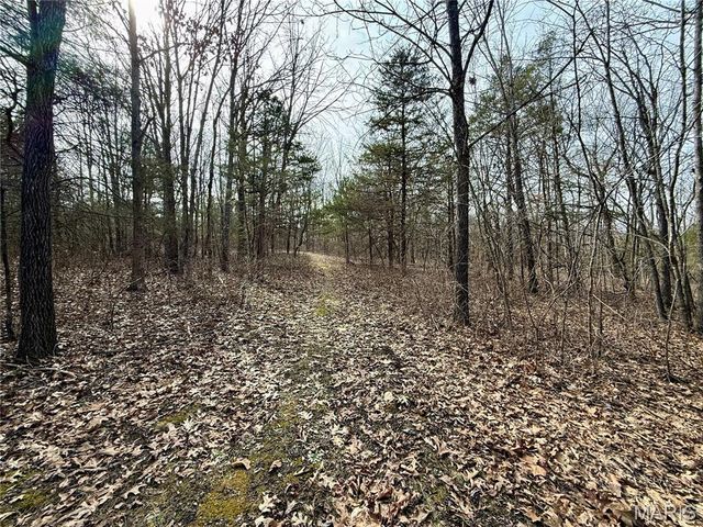 6731 Highway Au, Houston, MO 65483