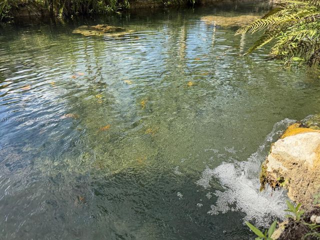 19820 SW 244th St, Homestead, FL 33031