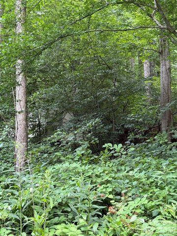 99999 Paint Fork Road, Barnardsville, NC 28709