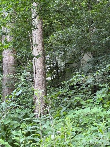 99999 Paint Fork Road, Barnardsville, NC 28709