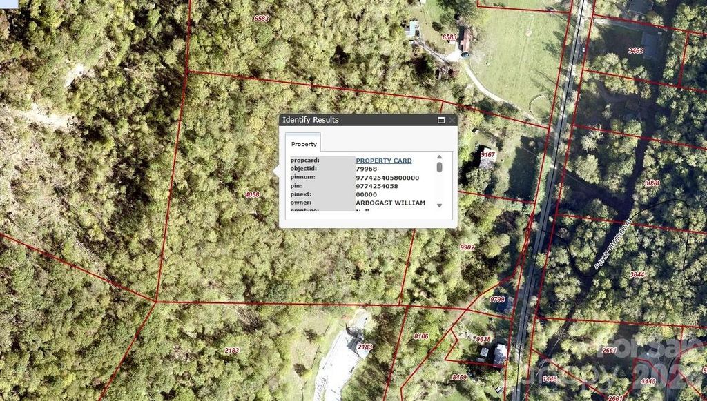 99999 Paint Fork Road, Barnardsville, NC 28709