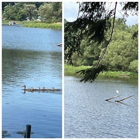 309 Bob Wilson Road, Milford, NY 13820