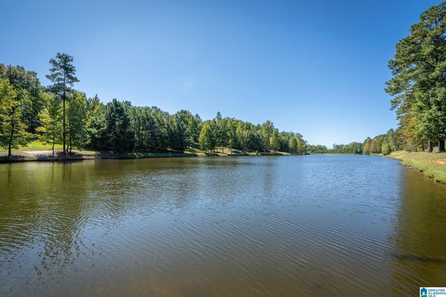 1190 OVERLOOK DRIVE, Trussville, AL 35173