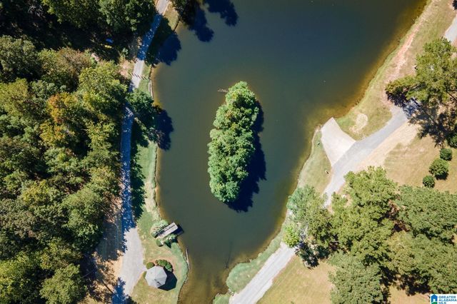 1190 OVERLOOK DRIVE, Trussville, AL 35173