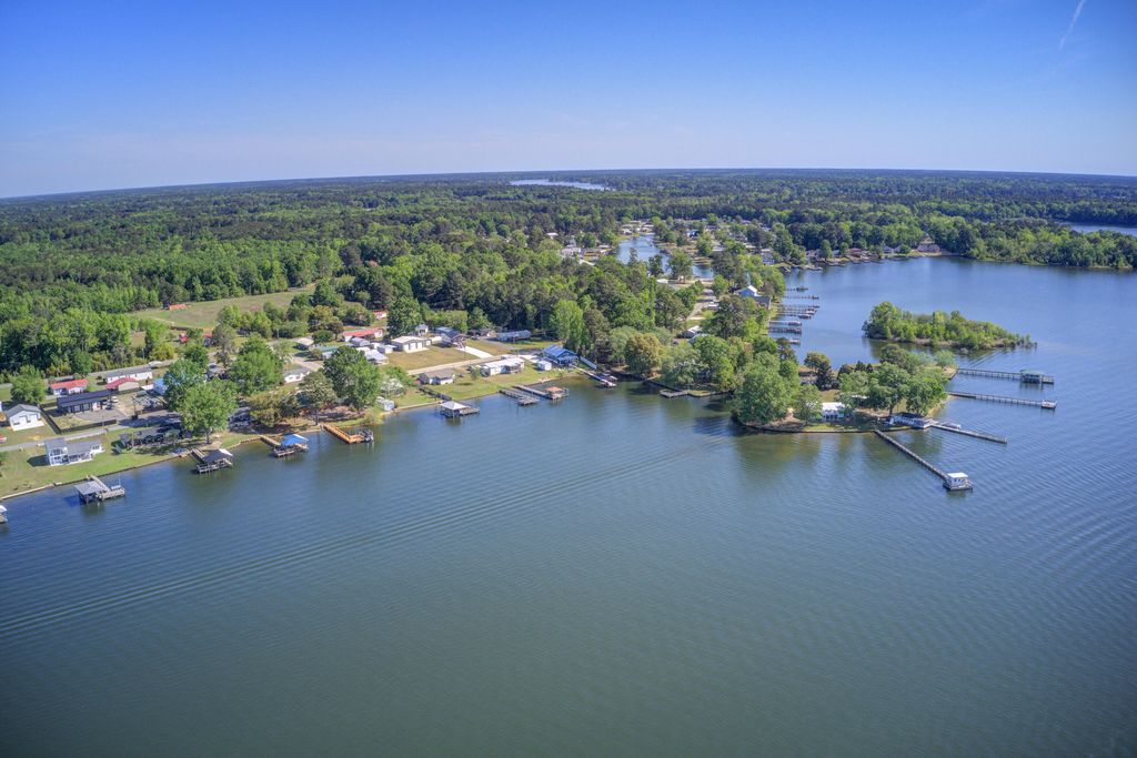 Image 37 of property listing at 1436 Brantley Avenue, Summerton, SC 29148