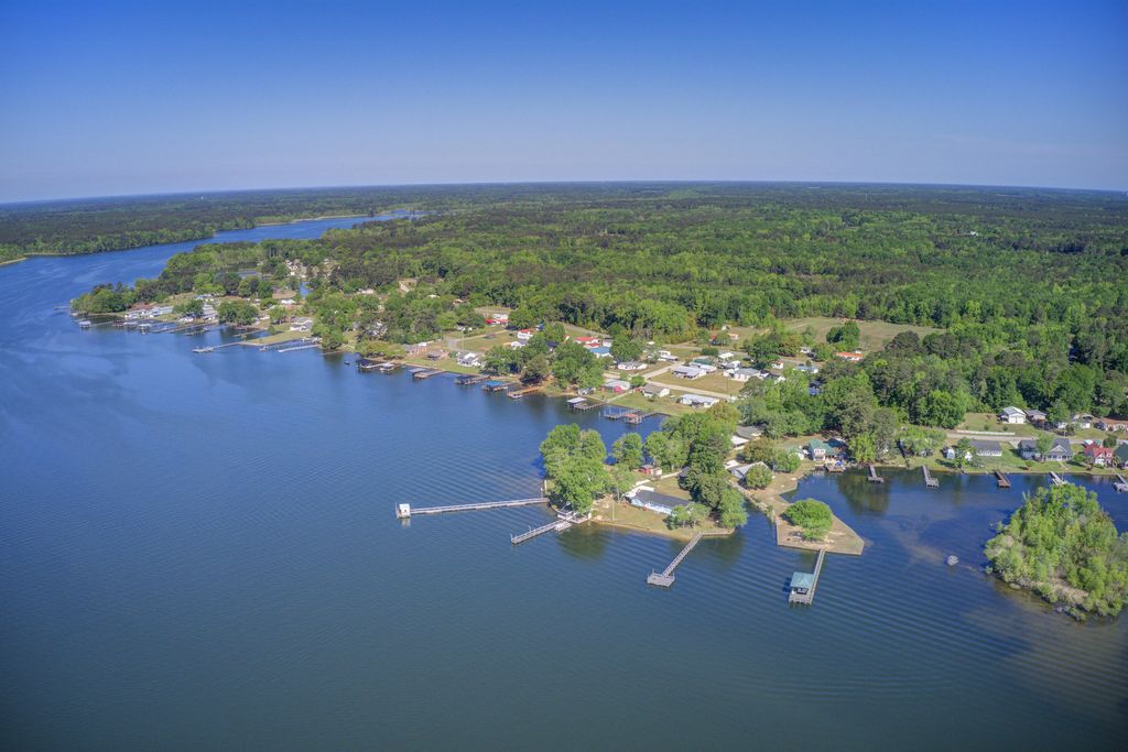 Image 38 of property listing at 1436 Brantley Avenue, Summerton, SC 29148