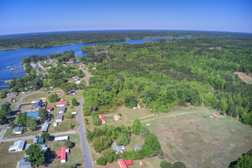 Image 39 of property listing at 1436 Brantley Avenue, Summerton, SC 29148