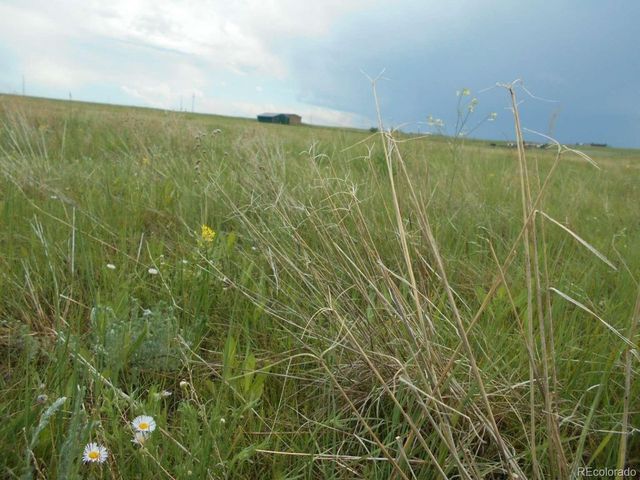27925 Bambi Ave, Simla, CO 80835